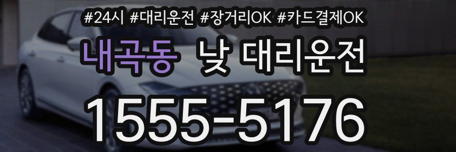 내곡동 낮 대리운전