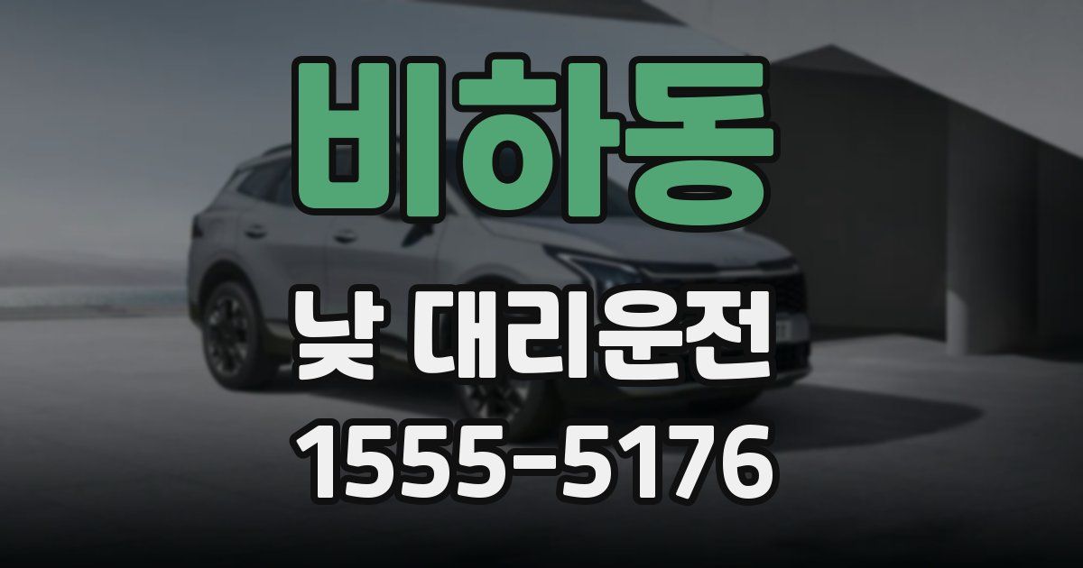 비하동 낮 대리운전