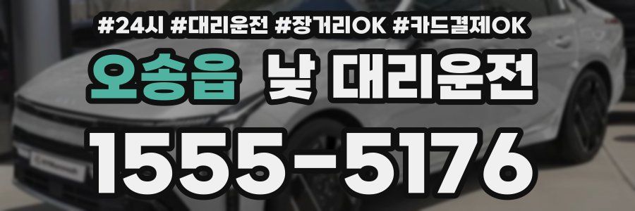 오송읍 낮 대리운전