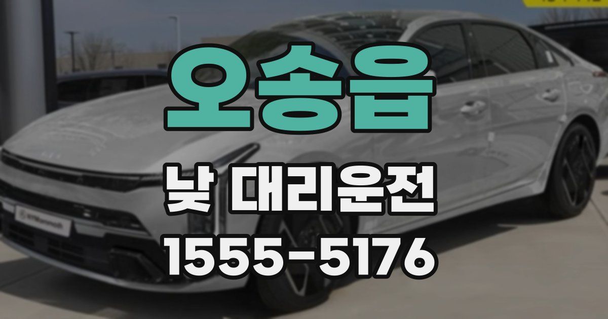 오송읍 낮 대리운전