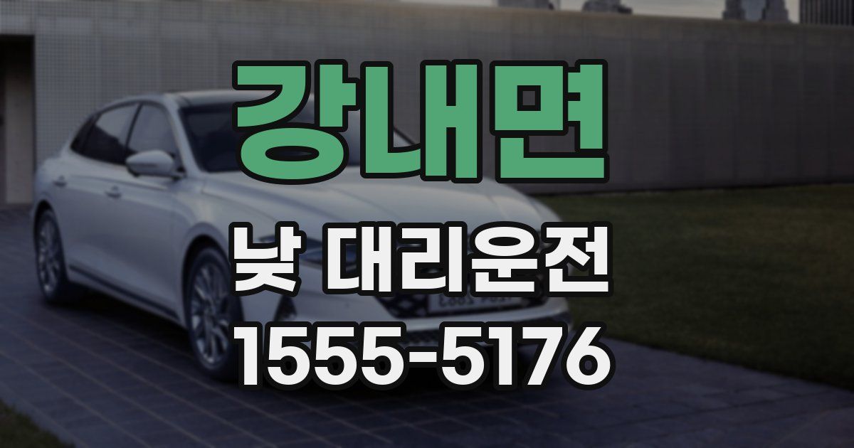 강내면 낮 대리운전