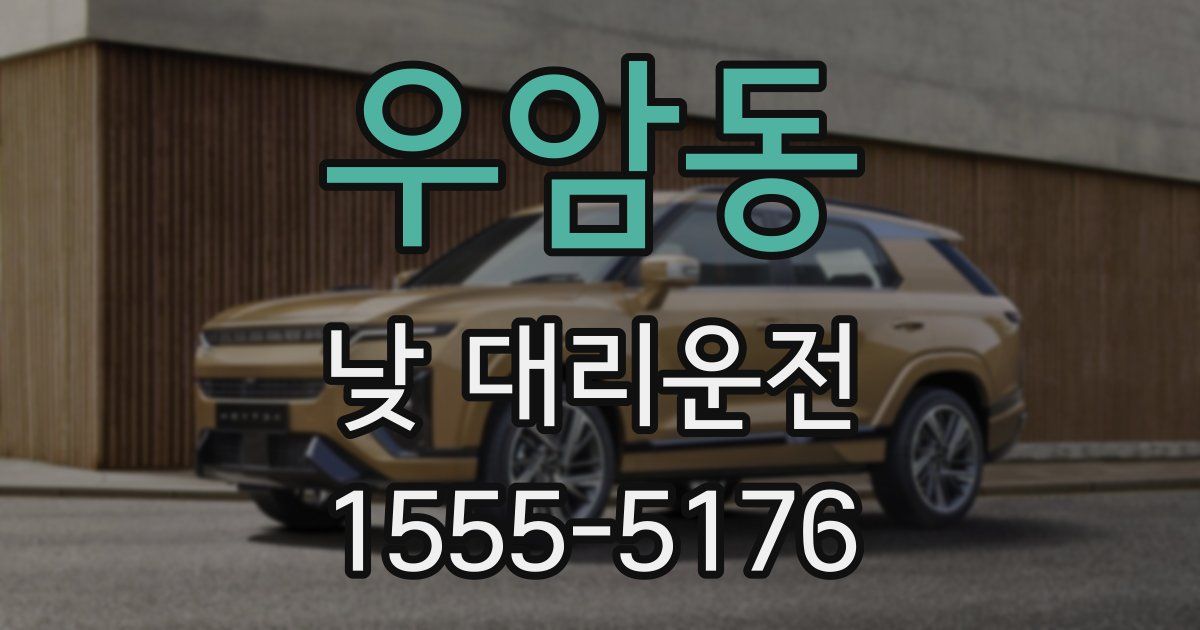 우암동 낮 대리운전