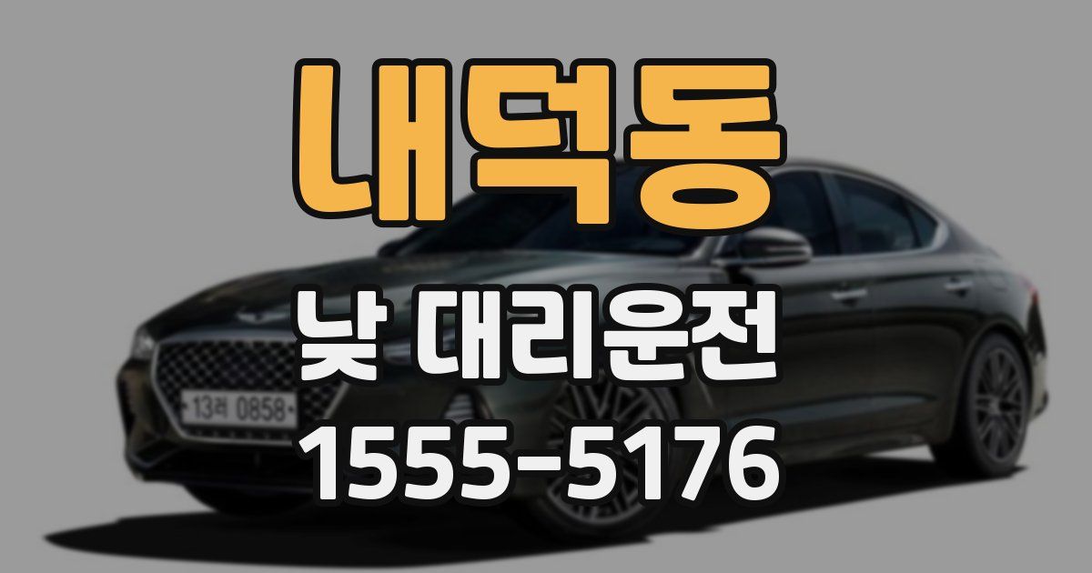 내덕동 낮 대리운전