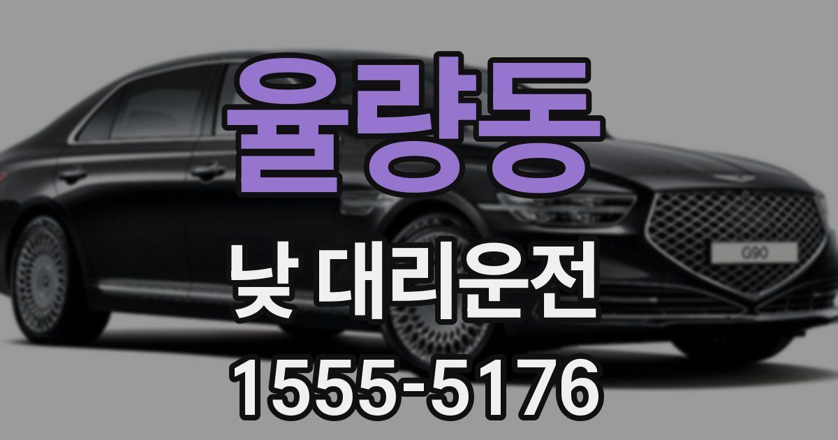 율량동 낮 대리운전