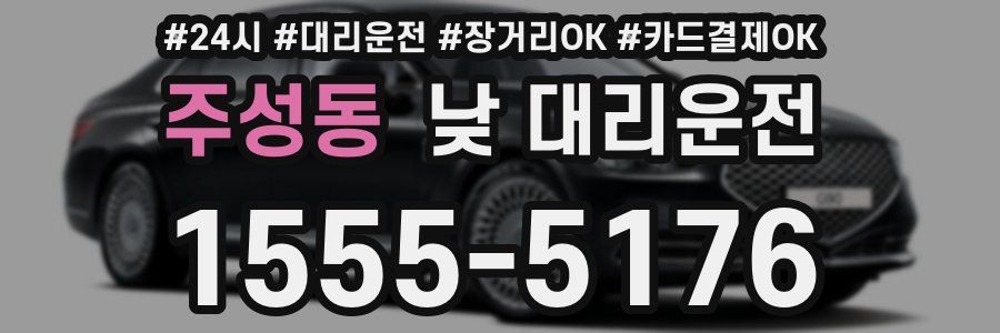 주성동 낮 대리운전