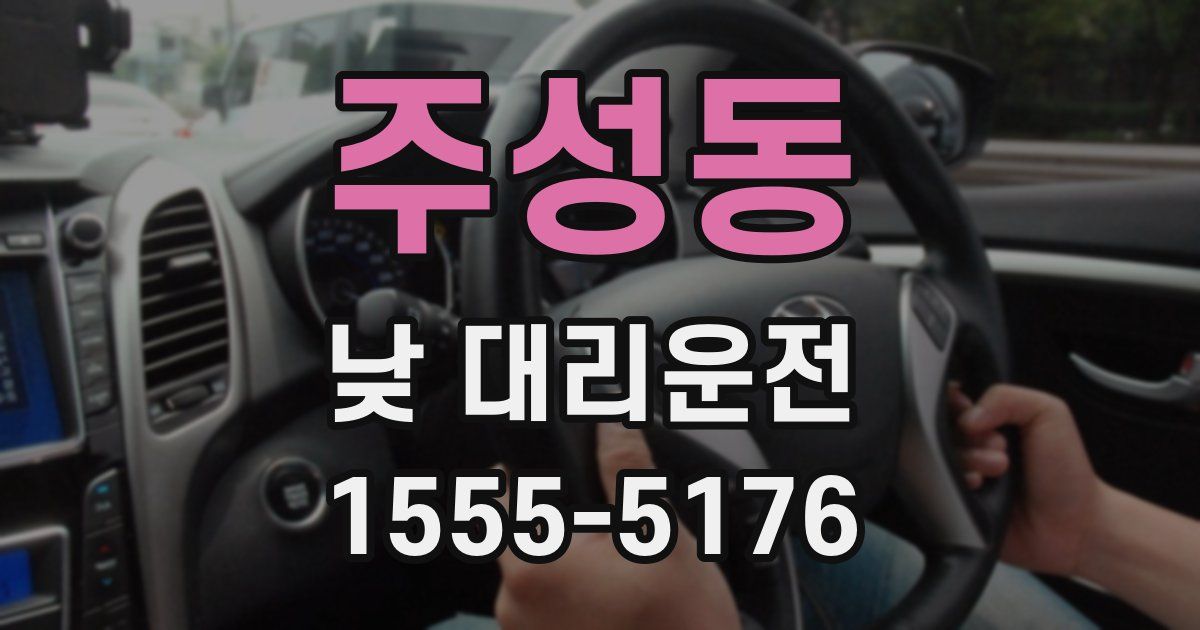 주성동 낮 대리운전