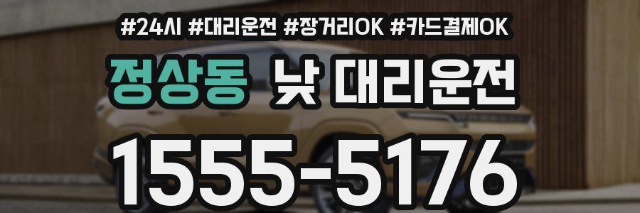정상동 낮 대리운전