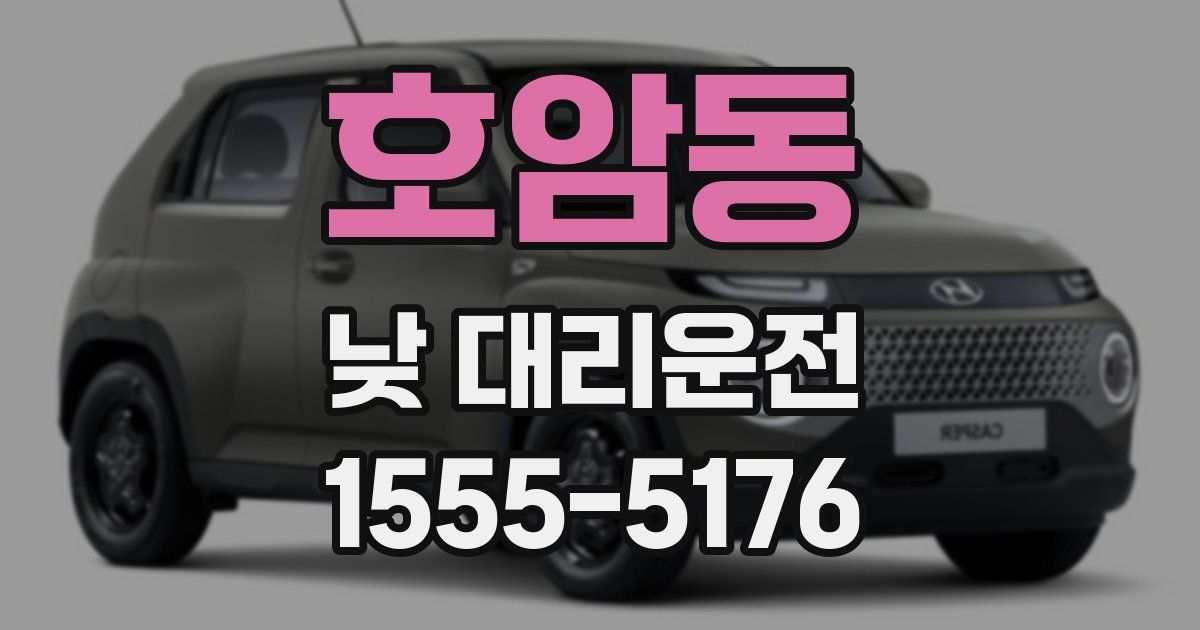 호암동 낮 대리운전