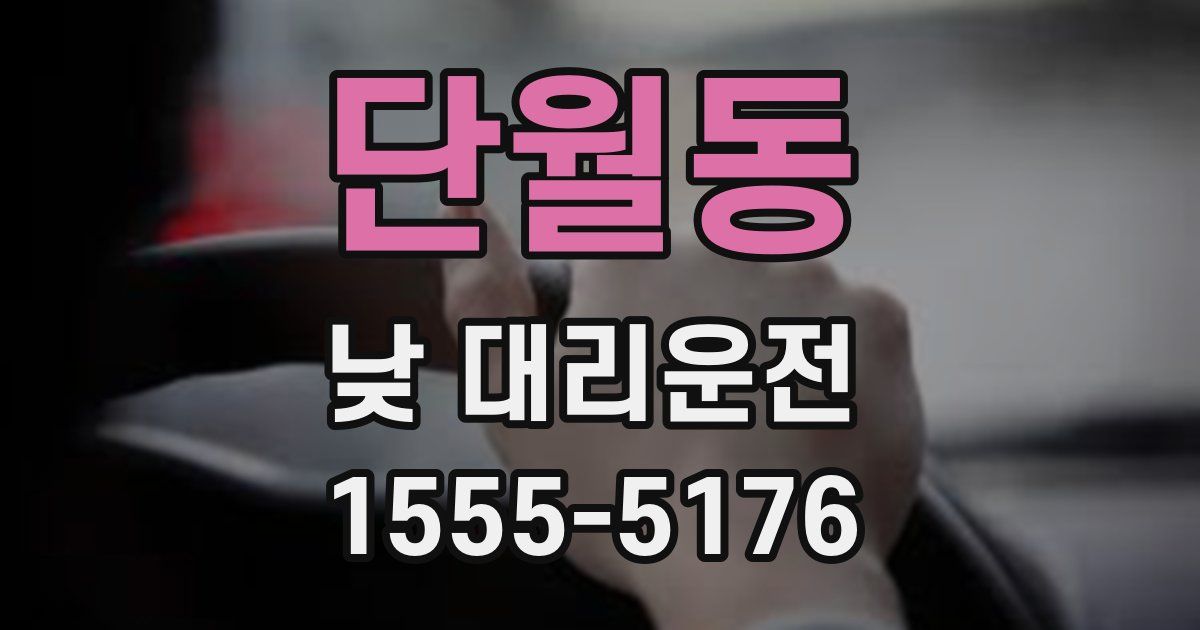 단월동 낮 대리운전