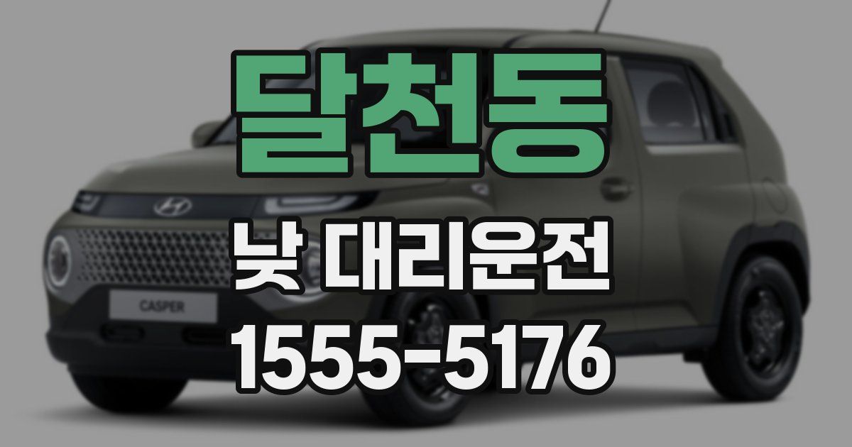 달천동 낮 대리운전