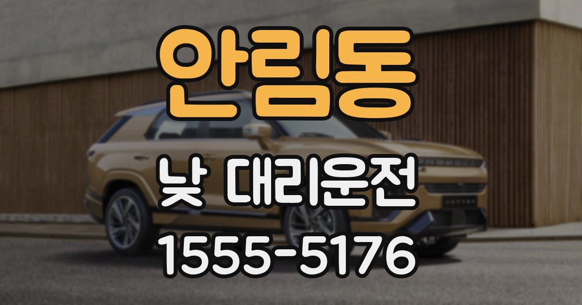 안림동 낮 대리운전