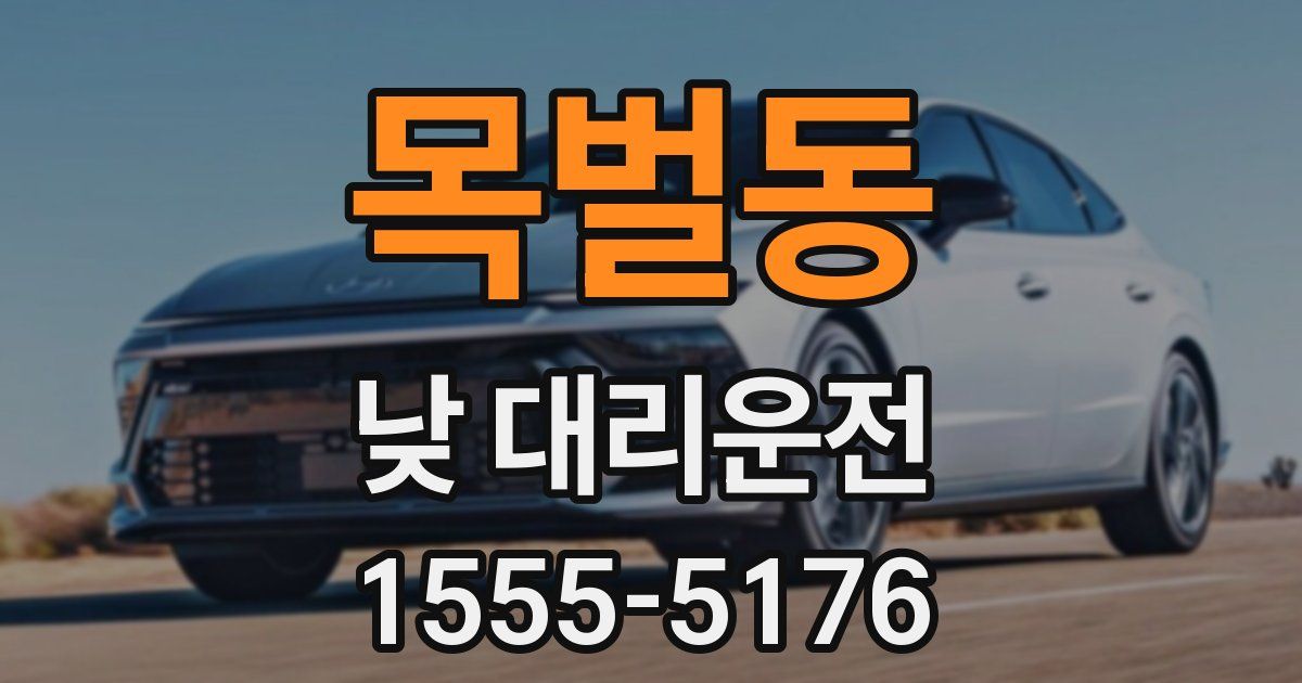 목벌동 낮 대리운전