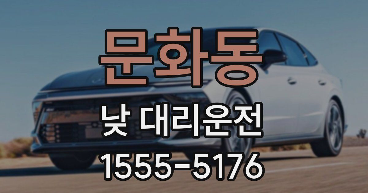 문화동 낮 대리운전