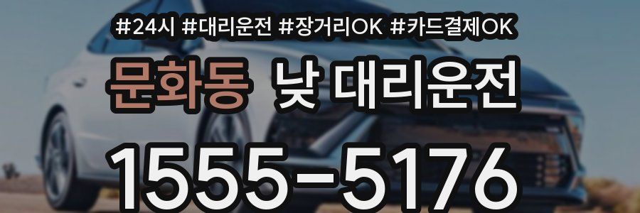문화동 낮 대리운전