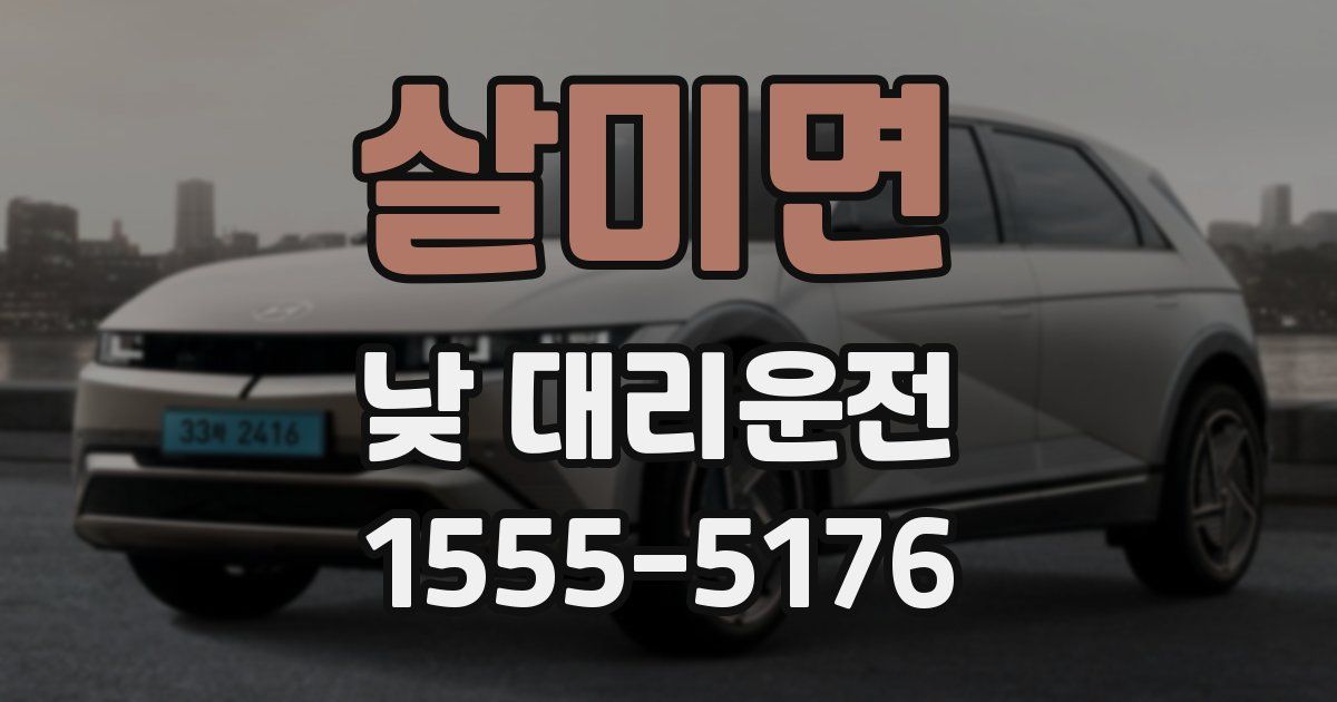 살미면 낮 대리운전