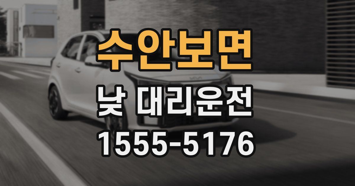 수안보면 낮 대리운전
