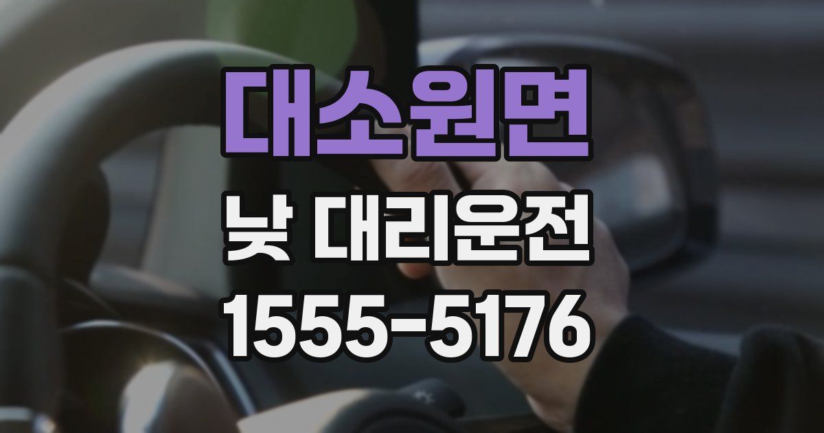 대소원면 낮 대리운전