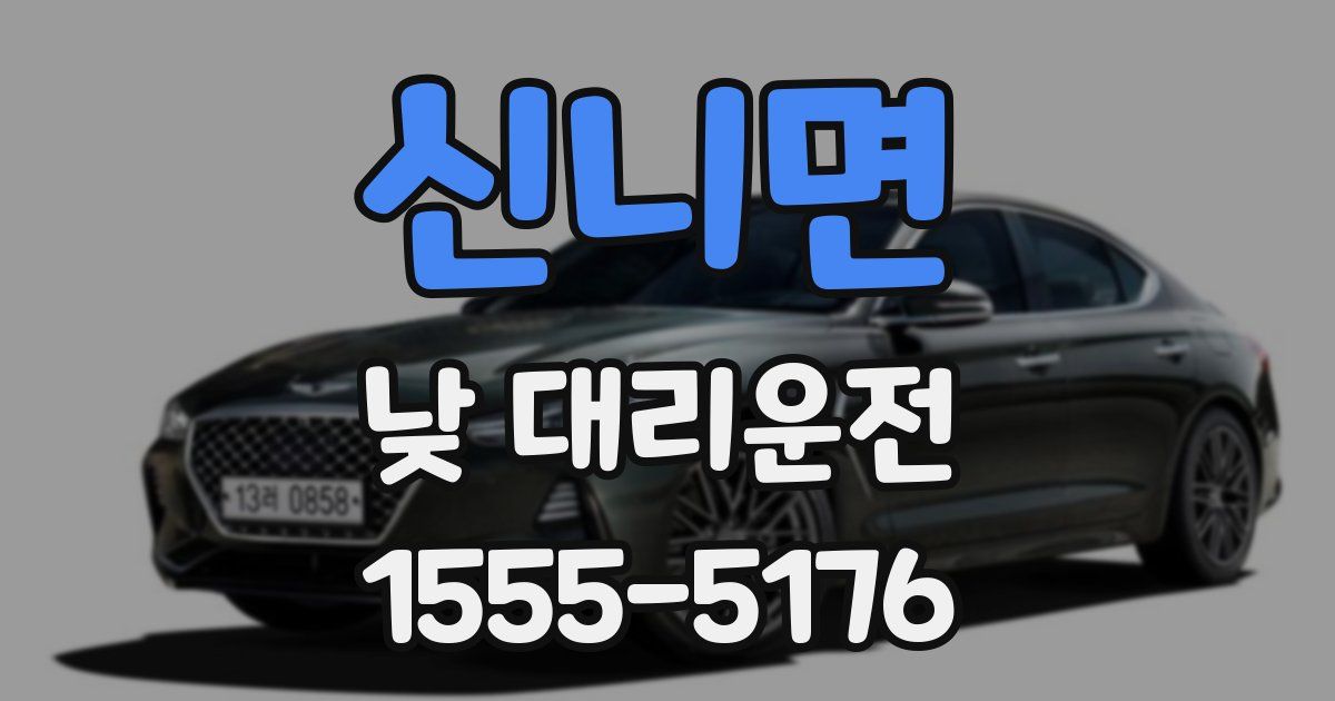 신니면 낮 대리운전