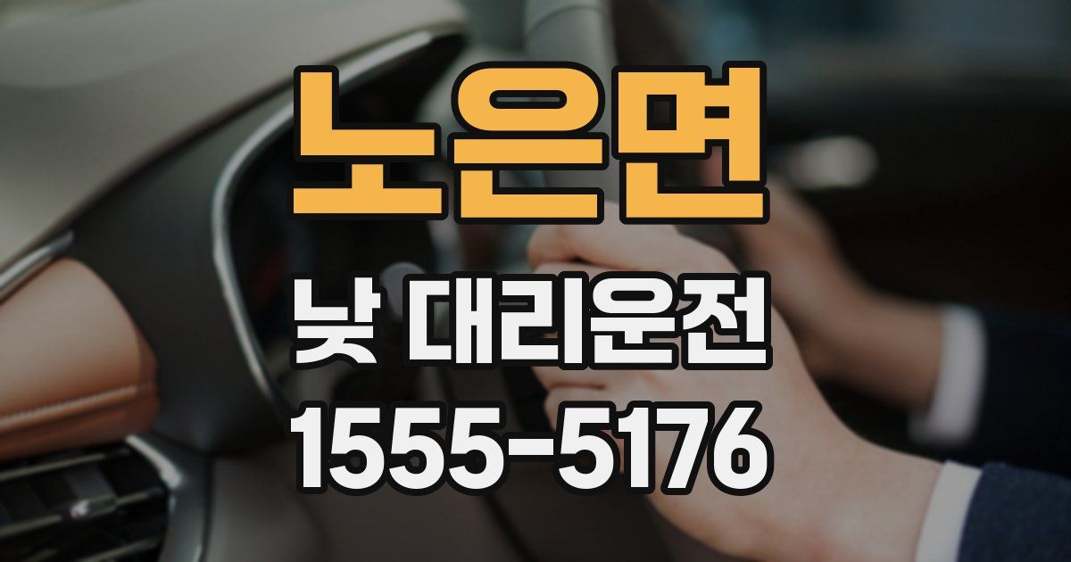 노은면 낮 대리운전