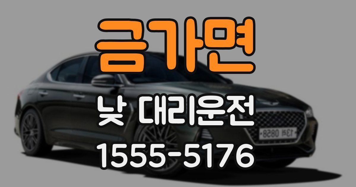 금가면 낮 대리운전