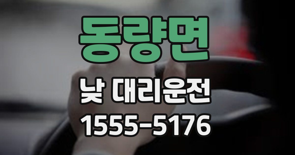 동량면 낮 대리운전