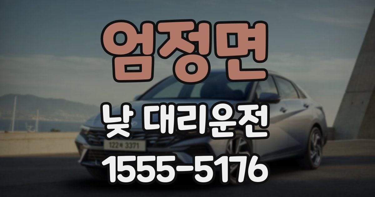엄정면 낮 대리운전