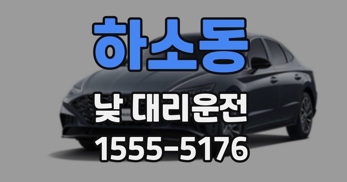 하소동 낮 대리운전