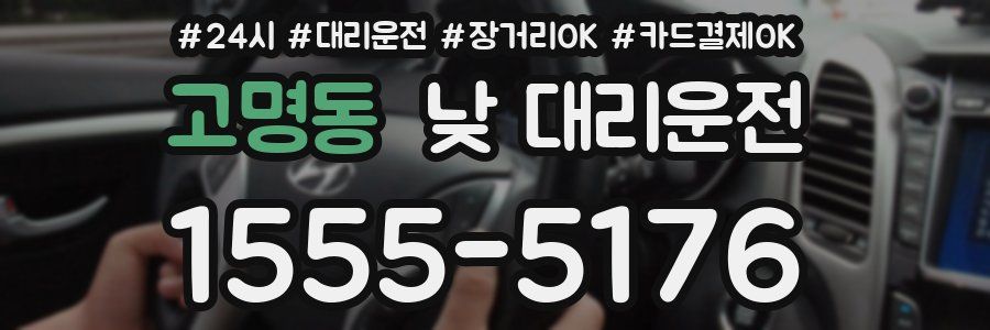 고명동 낮 대리운전