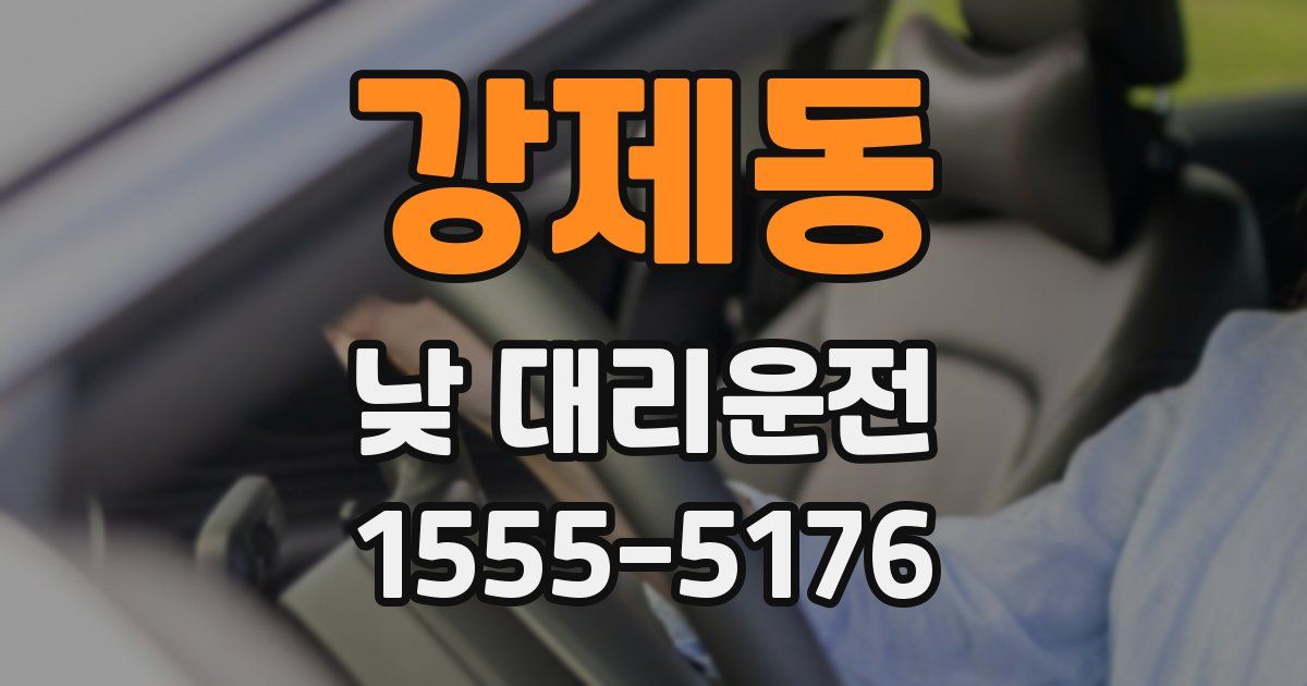 강제동 낮 대리운전
