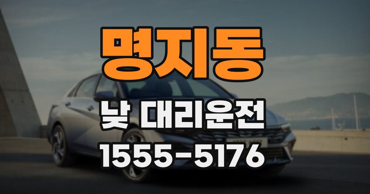 명지동 낮 대리운전