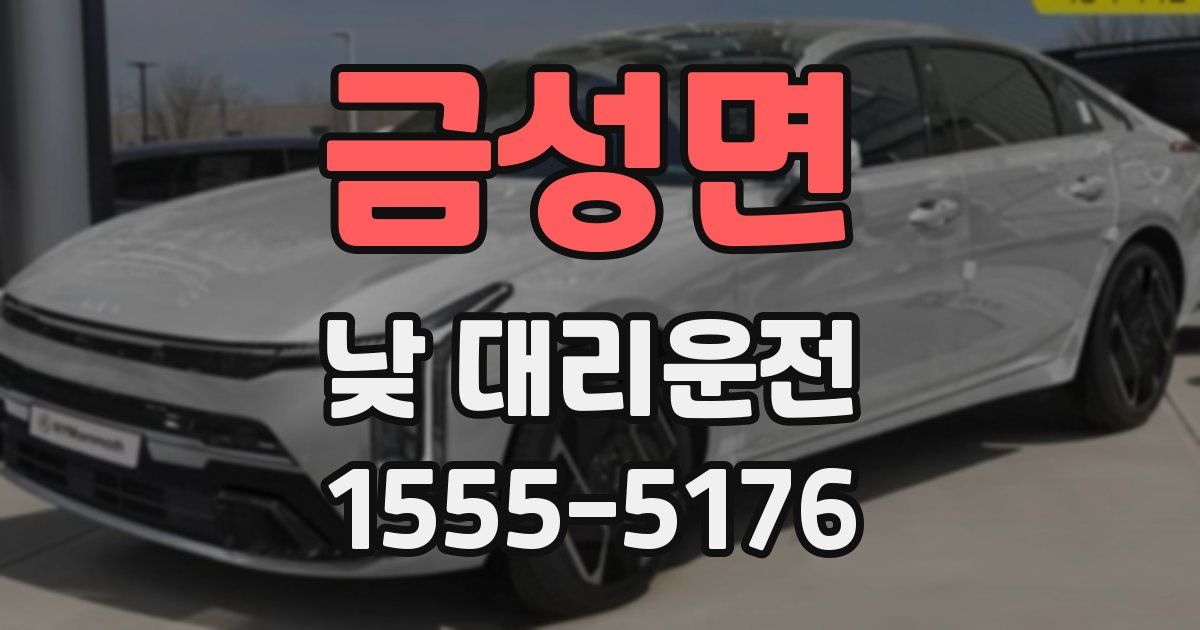 금성면 낮 대리운전