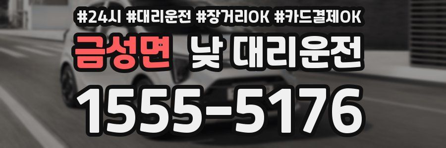 금성면 낮 대리운전