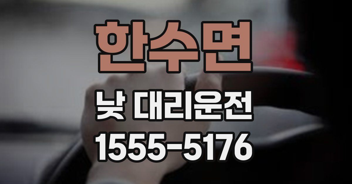 한수면 낮 대리운전
