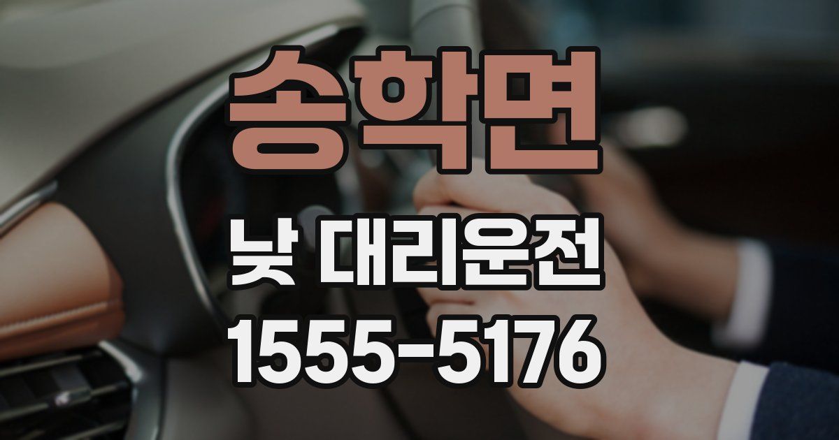 송학면 낮 대리운전