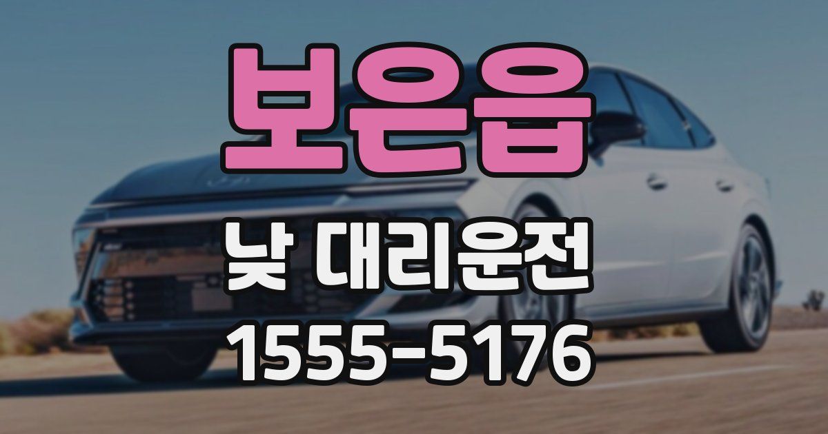 보은읍 낮 대리운전