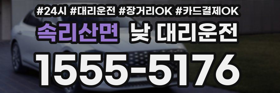 속리산면 낮 대리운전