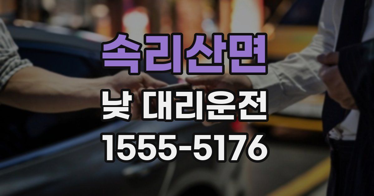 속리산면 낮 대리운전