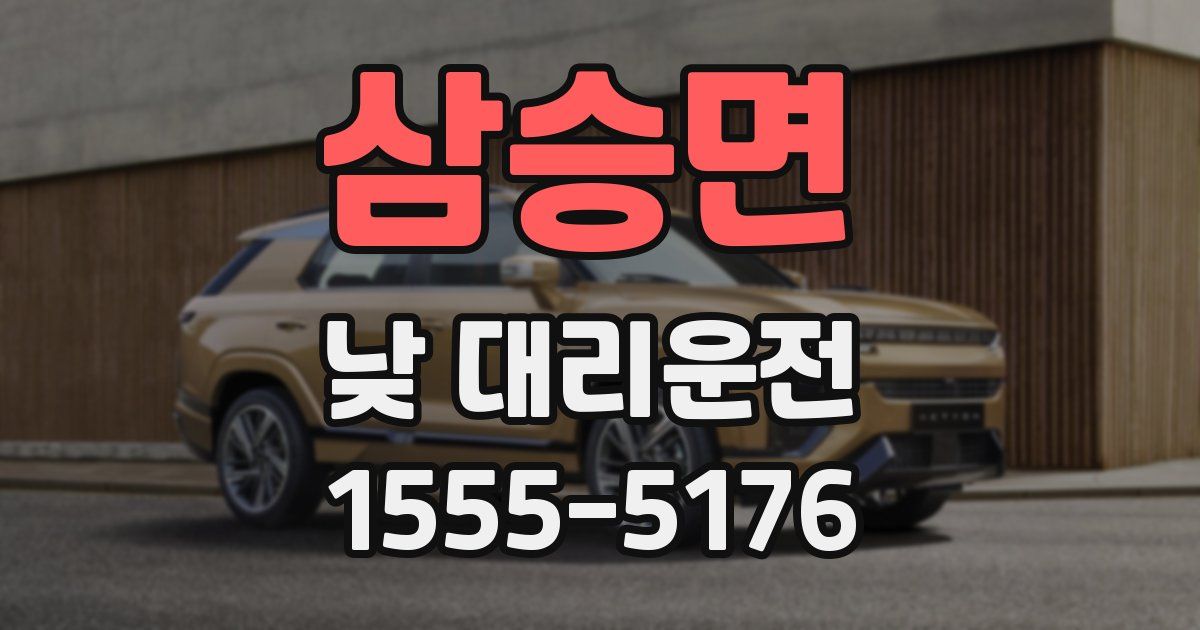 삼승면 낮 대리운전