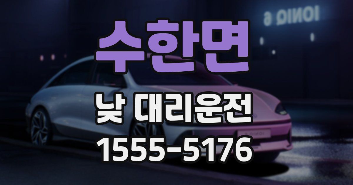 수한면 낮 대리운전