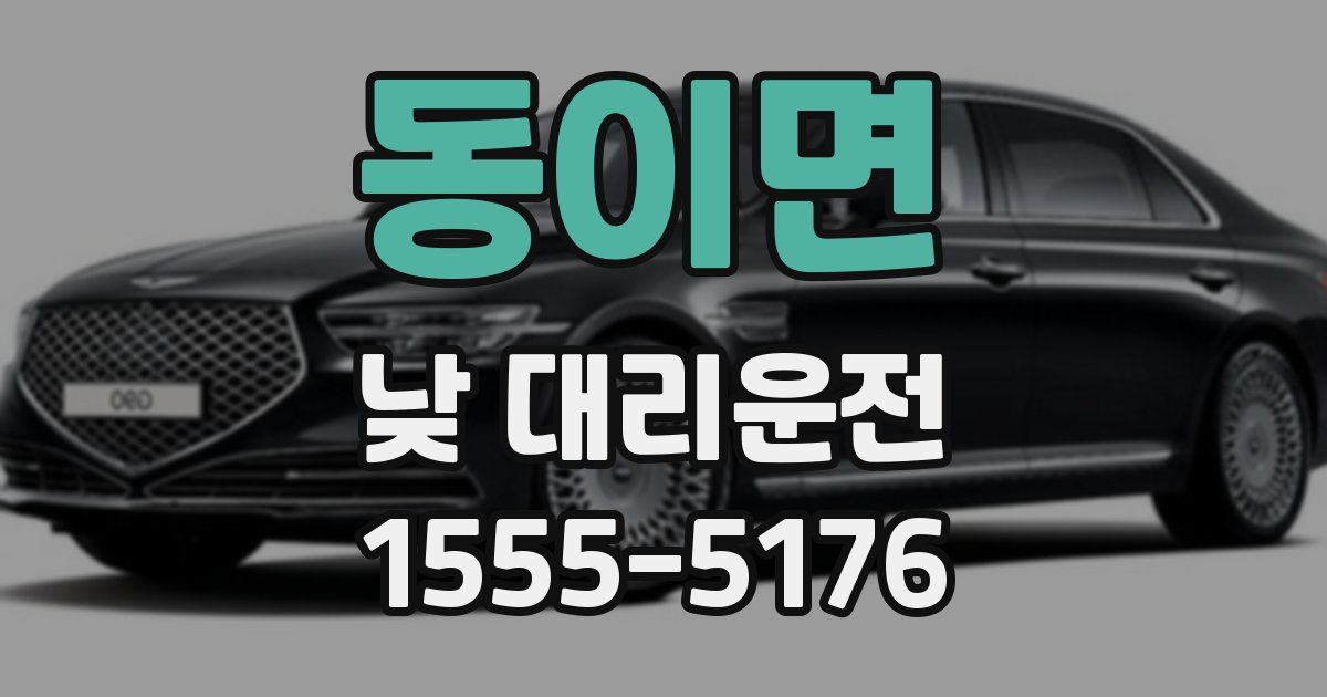 동이면 낮 대리운전