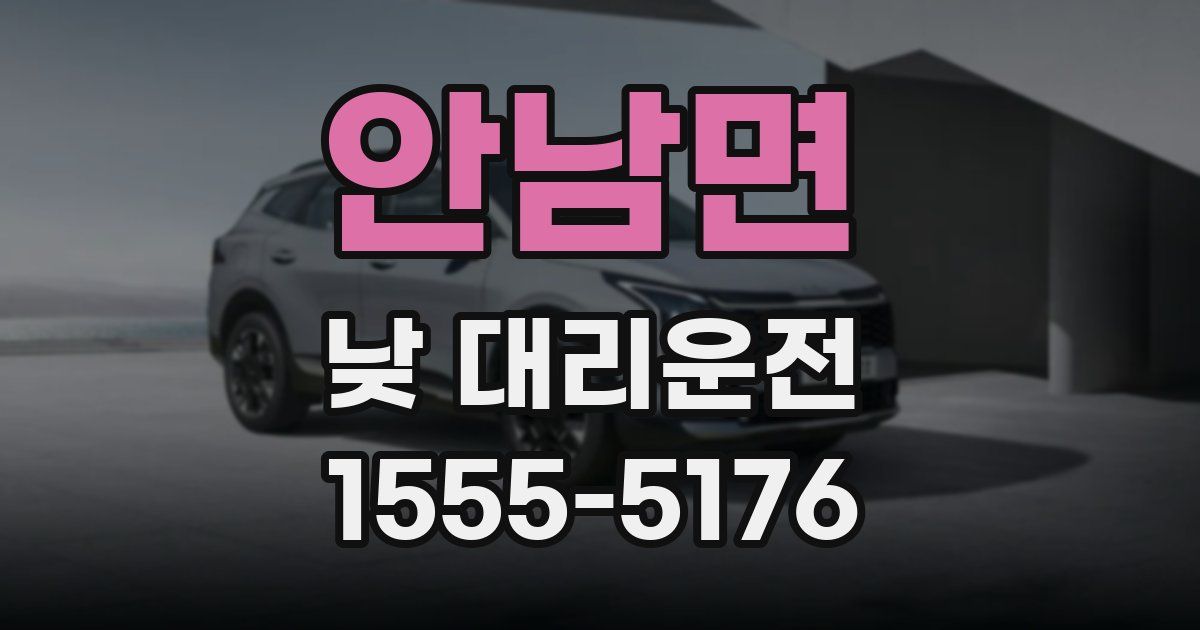 안남면 낮 대리운전