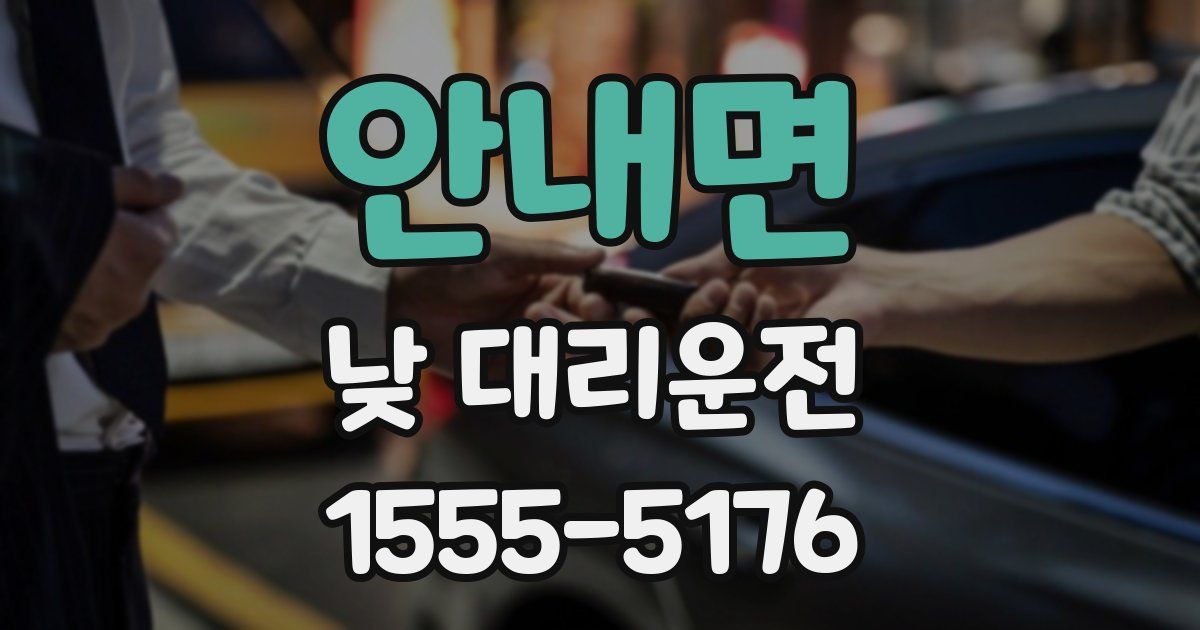 안내면 낮 대리운전