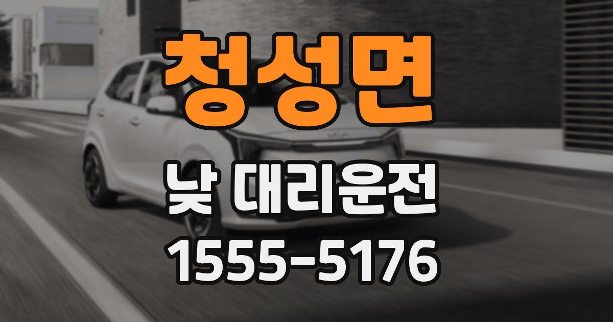 청성면 낮 대리운전
