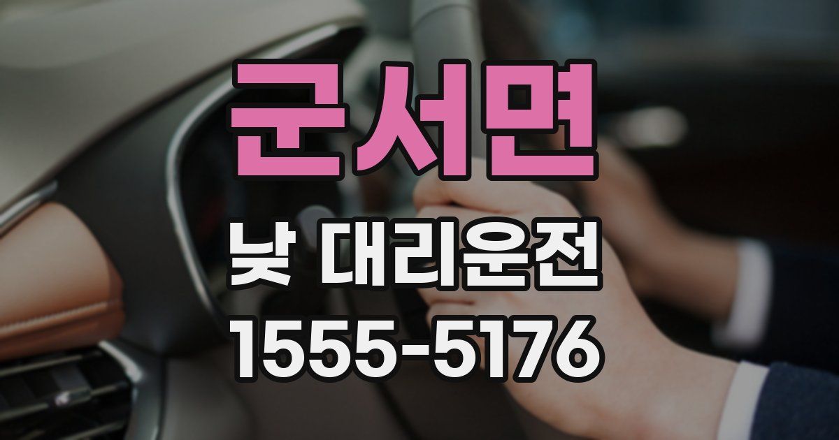 군서면 낮 대리운전