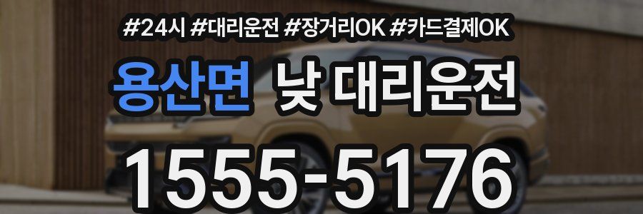 용산면 낮 대리운전