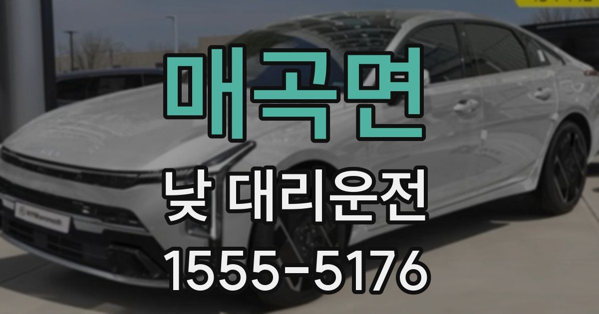 매곡면 낮 대리운전