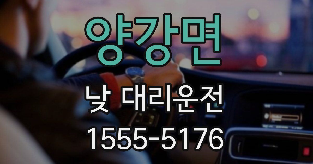 양강면 낮 대리운전