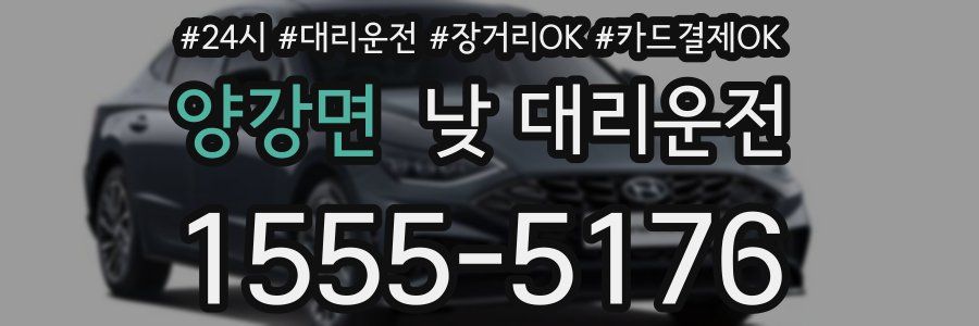 양강면 낮 대리운전