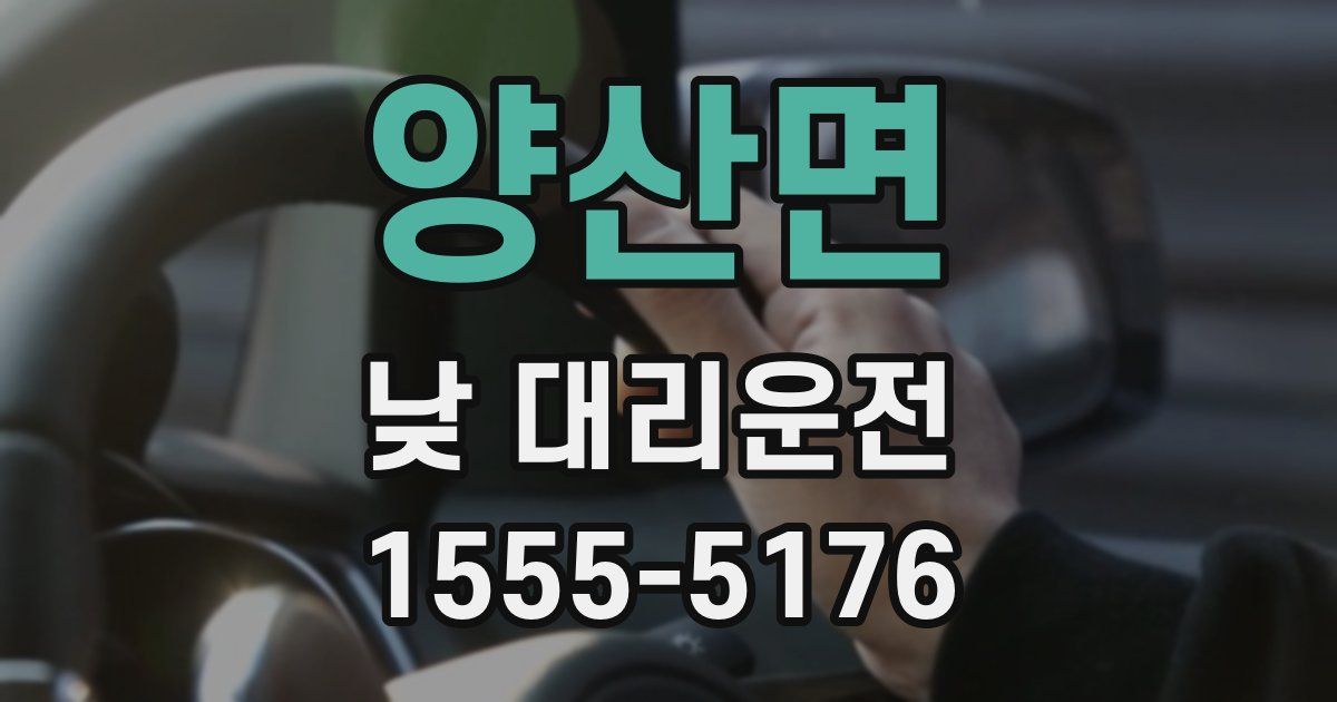 양산면 낮 대리운전