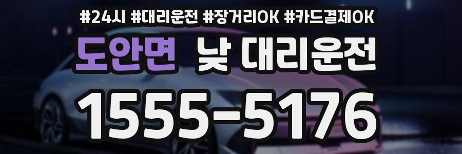 도안면 낮 대리운전